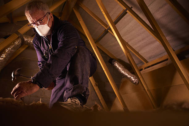 Best Geographic-Specific Insulation Services in Pacific, WA